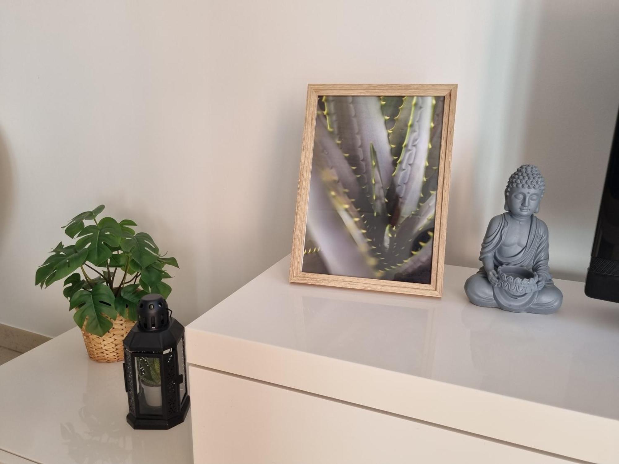 Cameos - Appartement Avec Terrasse Locairbi Le Crès 外观 照片